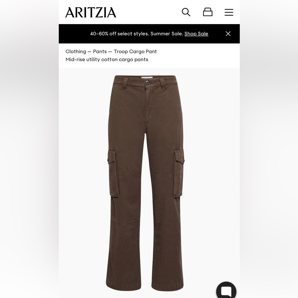 Aritzia Cargo Pants